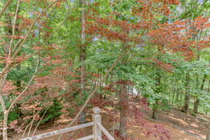  Photo 37