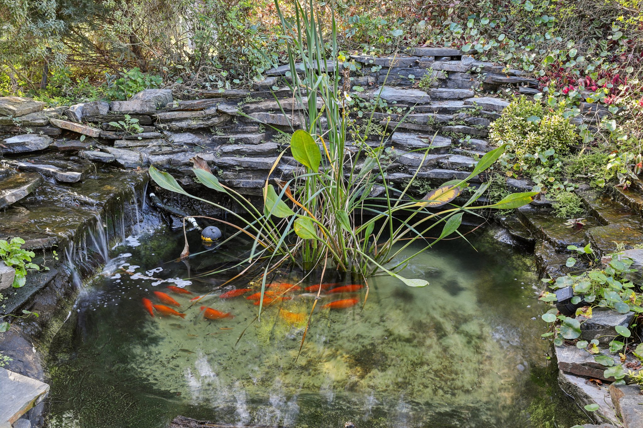 Coronado Somerset Dr-S2412-065.jpg