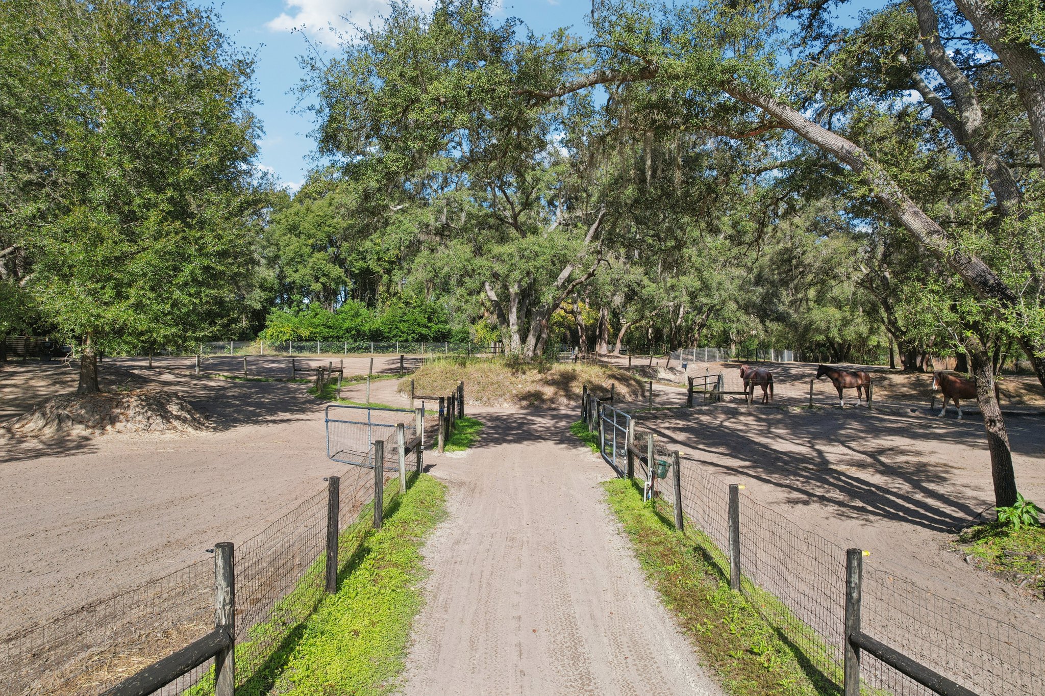 Coronado Somerset Dr-S2412-094.jpg