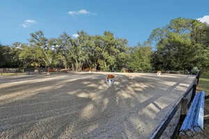 Coronado Somerset Dr-S2412-069.jpg