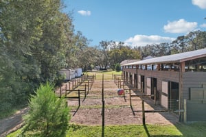 Coronado Somerset Dr-S2412-075.jpg