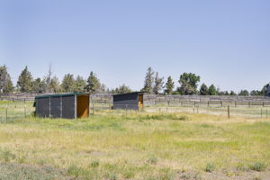  Photo 37