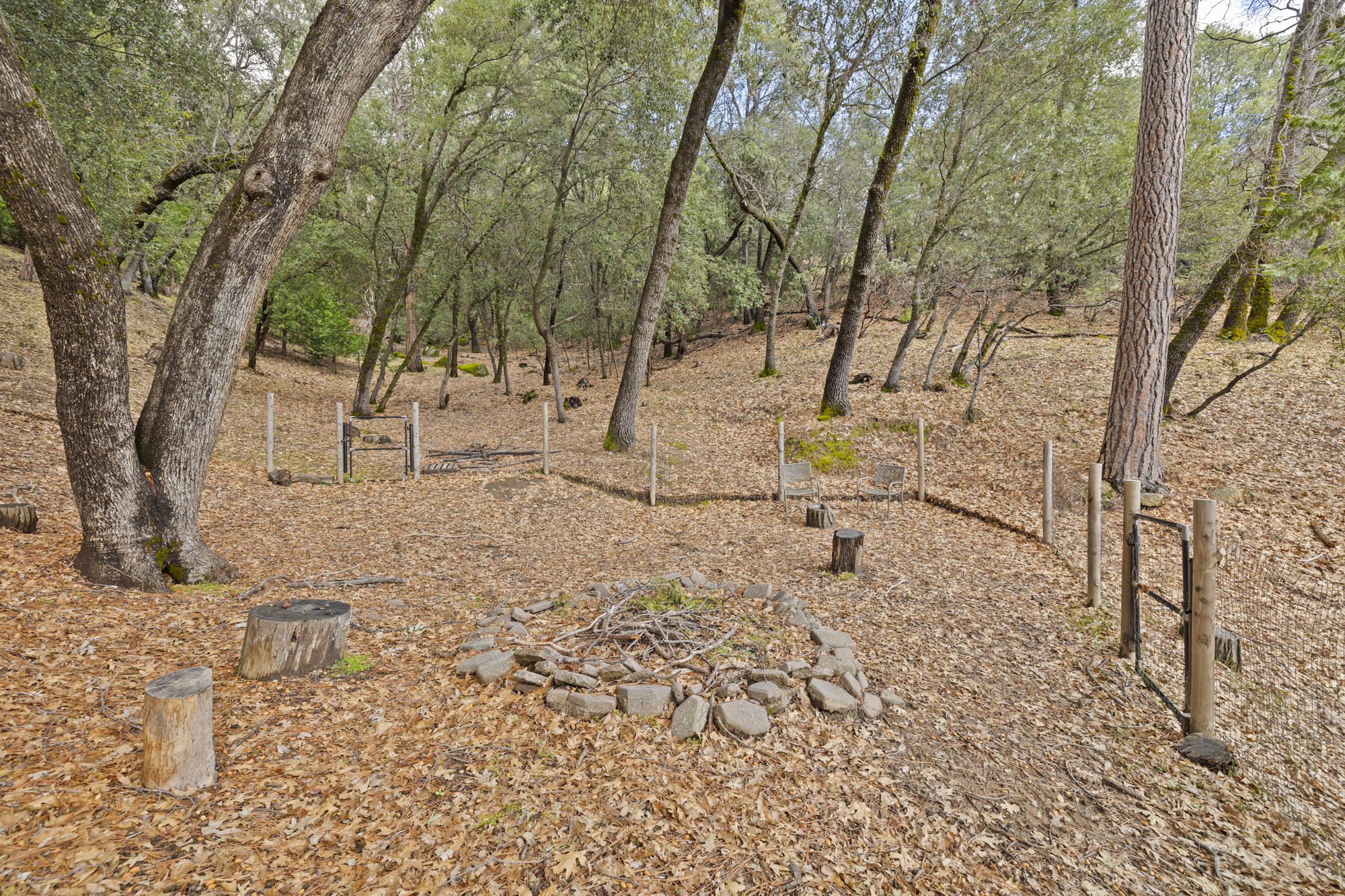 Photo 47