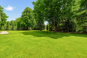  Photo 54