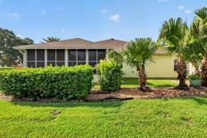 Rear Elevation with PRIVACY Landscaping