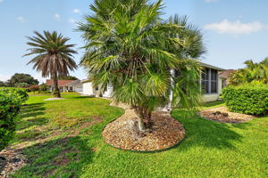 Large Corner Lot with ROOM FOR A POOL!