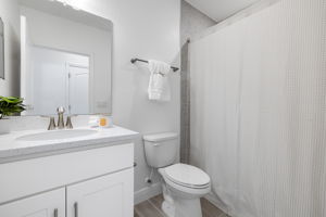 Guest Bathroom (2)