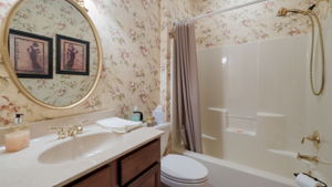  Photo 42