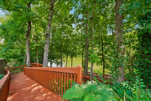 Old Cahaba Pl-S1107-056.jpg