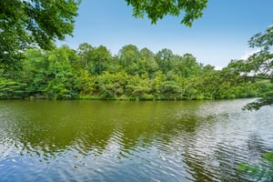 Old Cahaba Pl-S1107-059.jpg