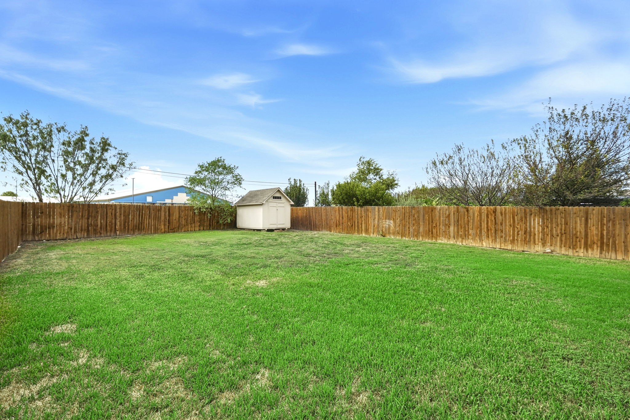 Back Yard/Shed