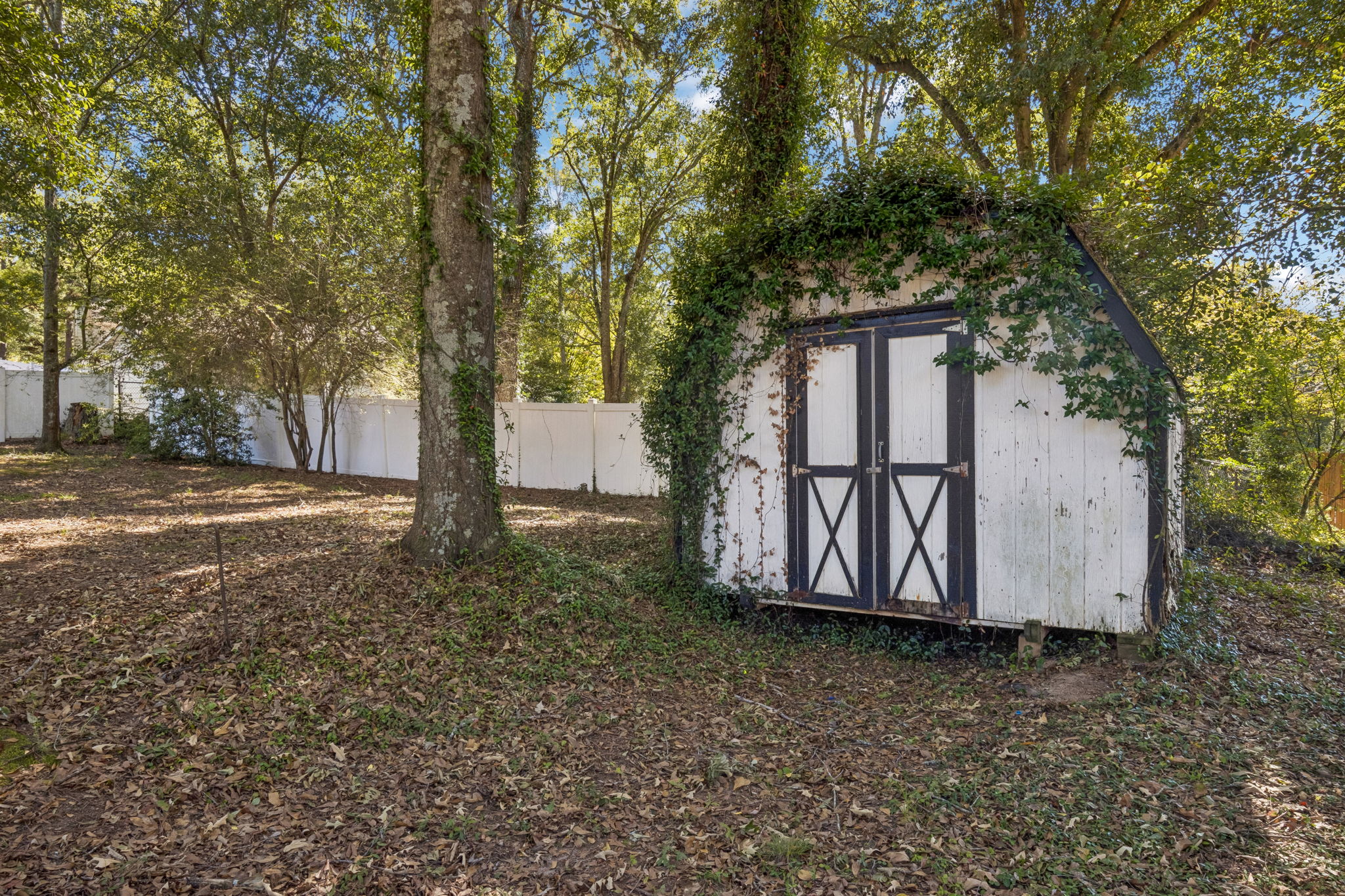 Shed
