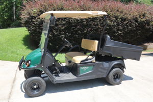 2019 CUSHMAN AUTO-DUMPBED FOR SALE - $5K
