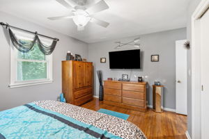  Photo 43