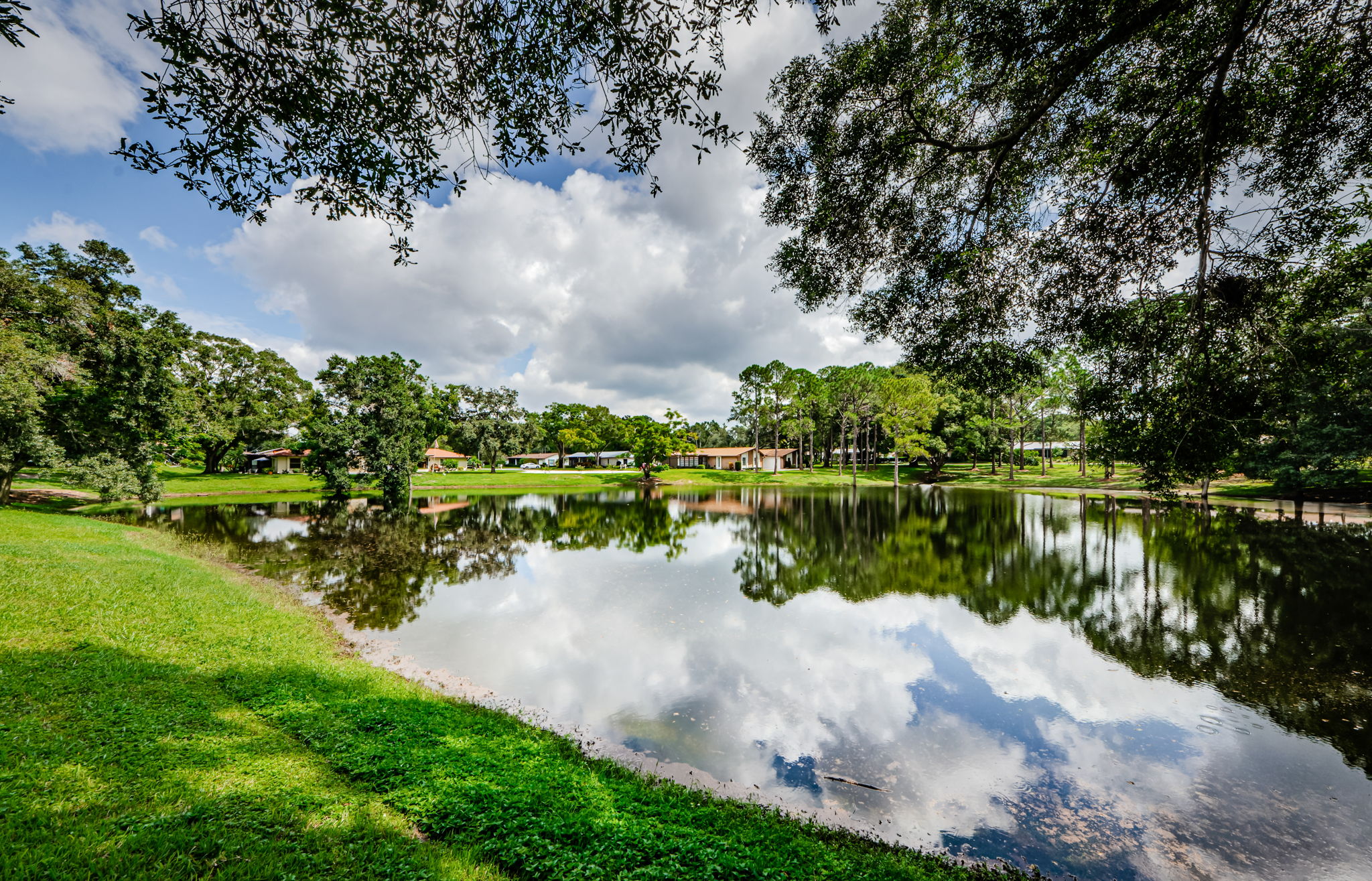 Pond View 1