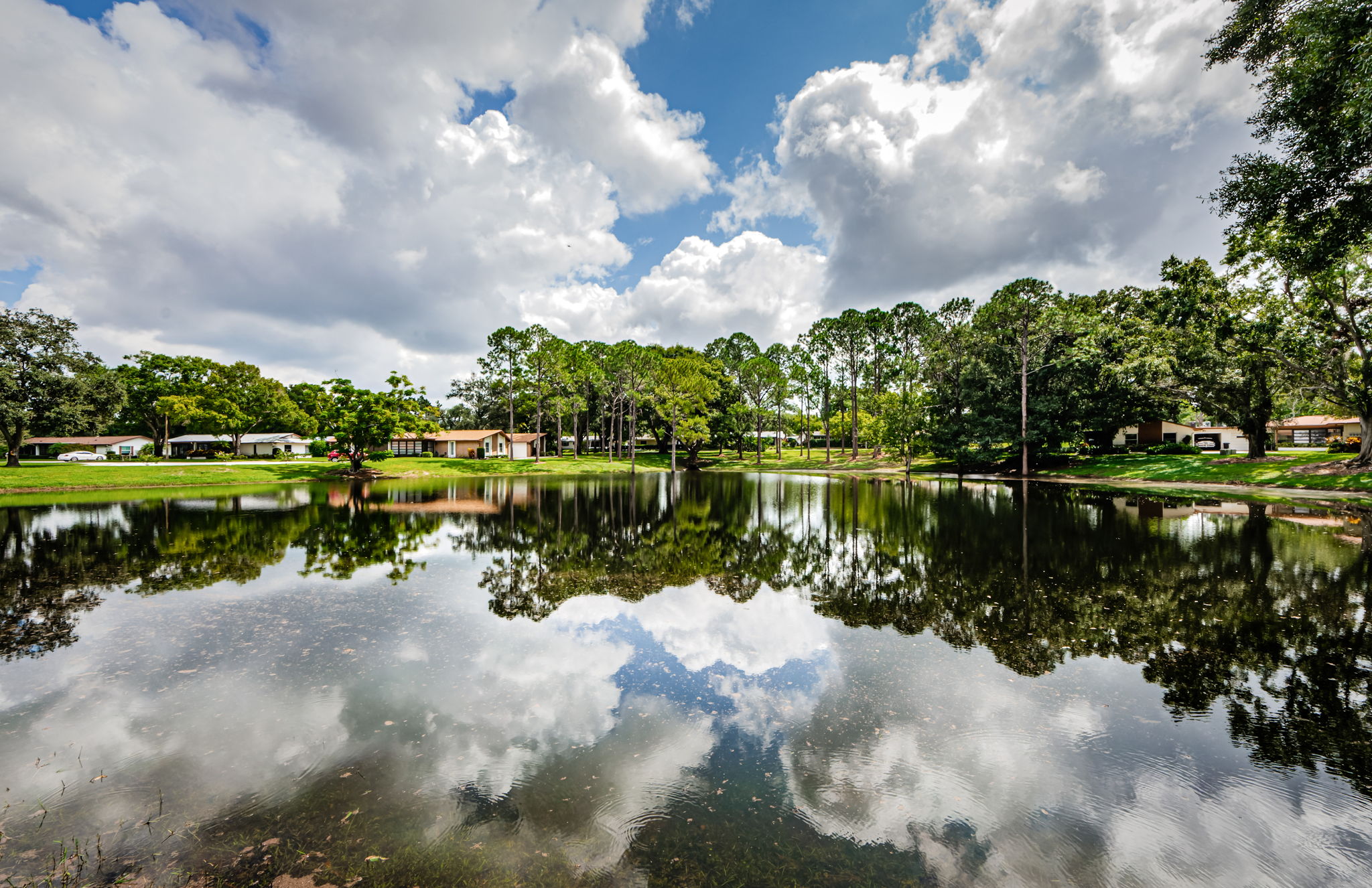 Pond View 2