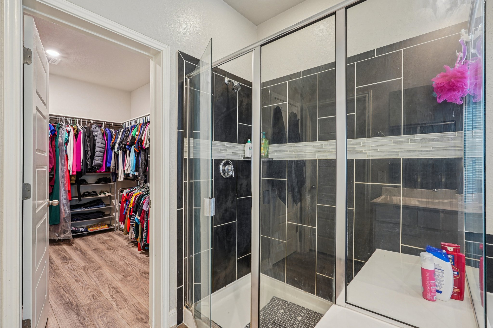 Tiptop Ln-S2201-031.jpg