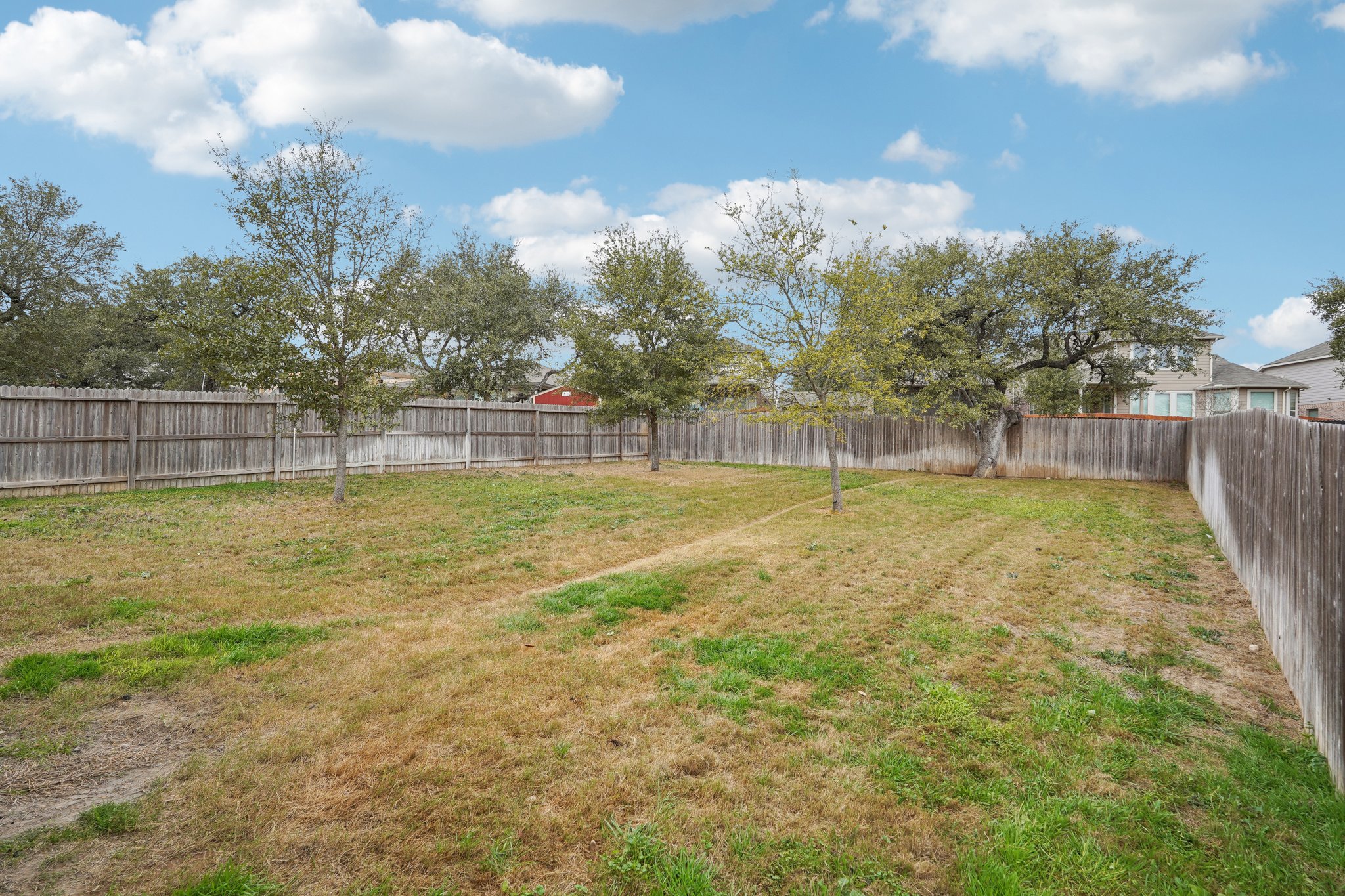 Tiptop Ln-S2201-050.jpg