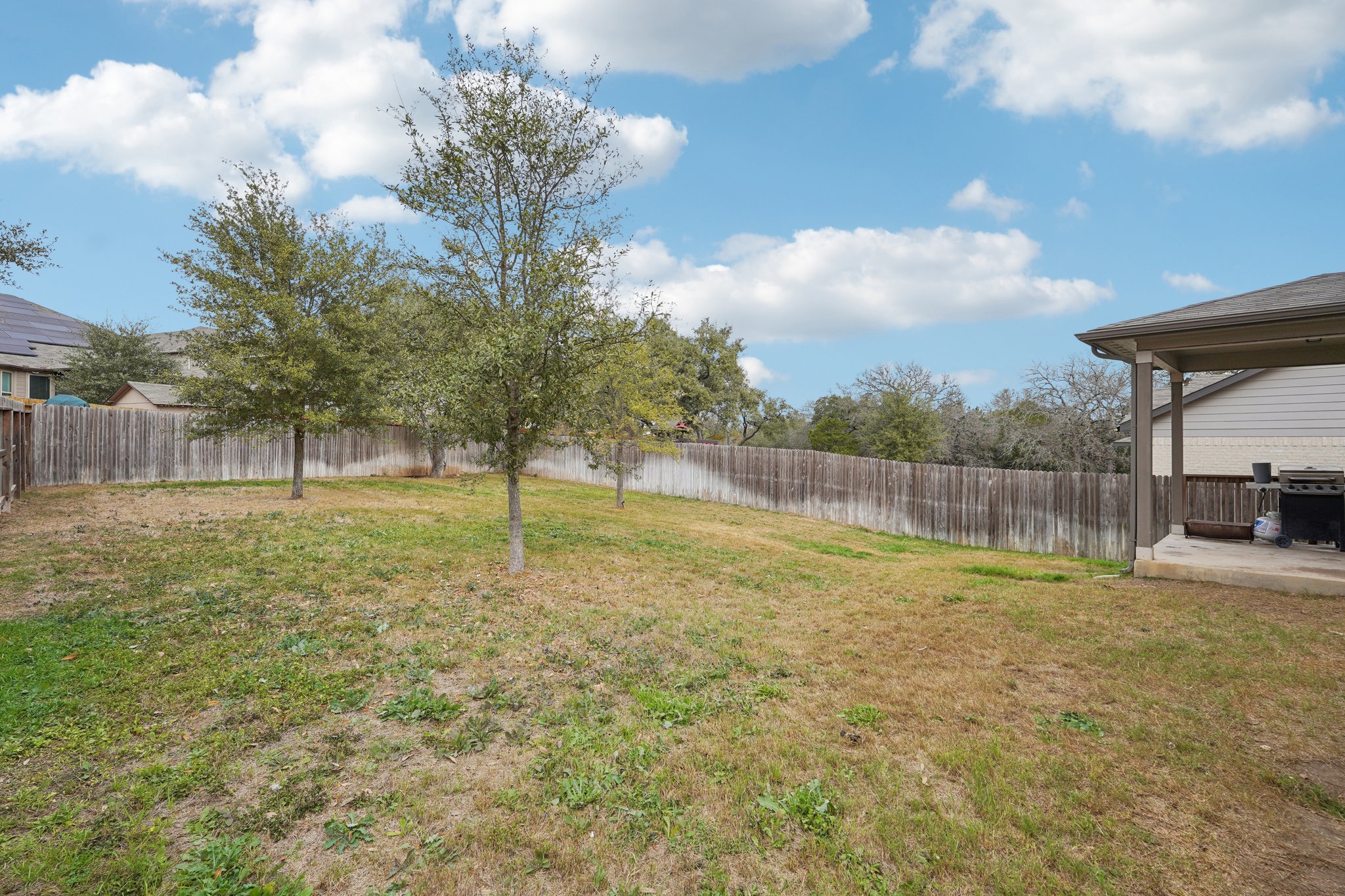 Tiptop Ln-S2201-051.jpg