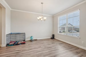 Tiptop Ln-S2201-021.jpg