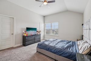 Tiptop Ln-S2201-043.jpg