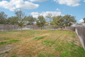 Tiptop Ln-S2201-050.jpg