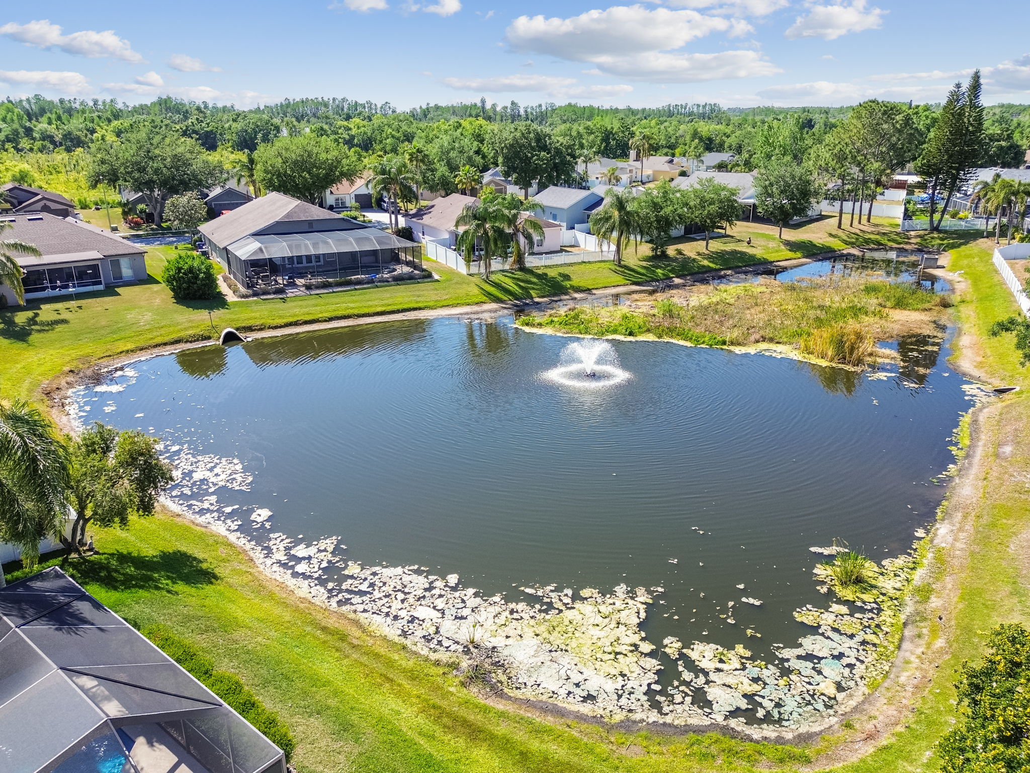 DJI_0250