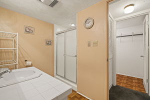 Primary Bathroom 1-1