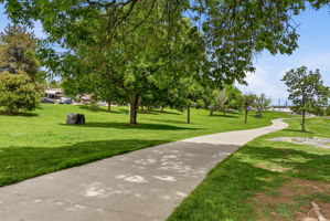  Photo 49