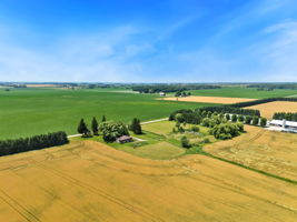  Photo 44