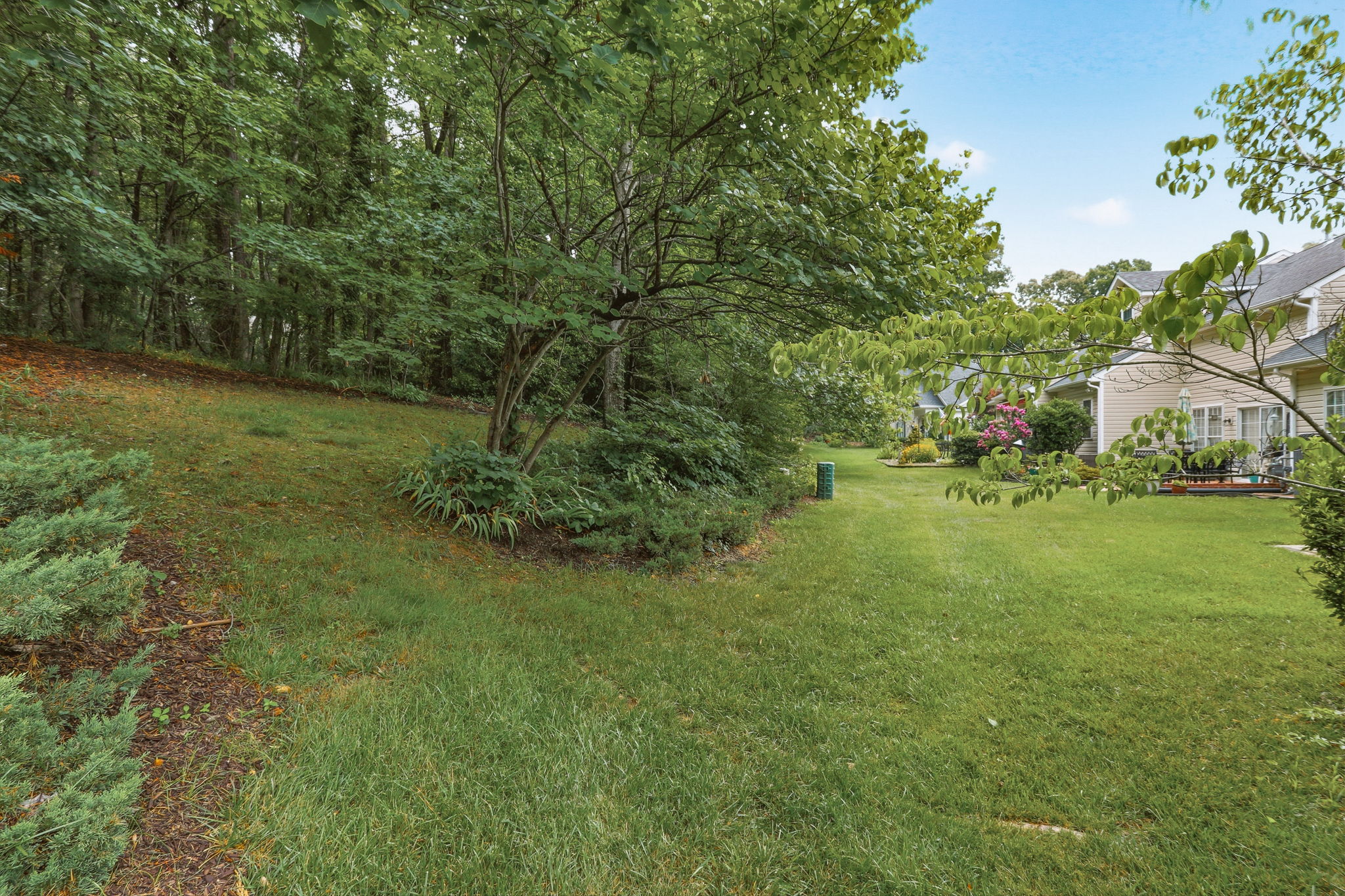 28-Backyard