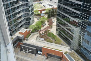  Photo 49