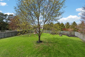  Photo 51