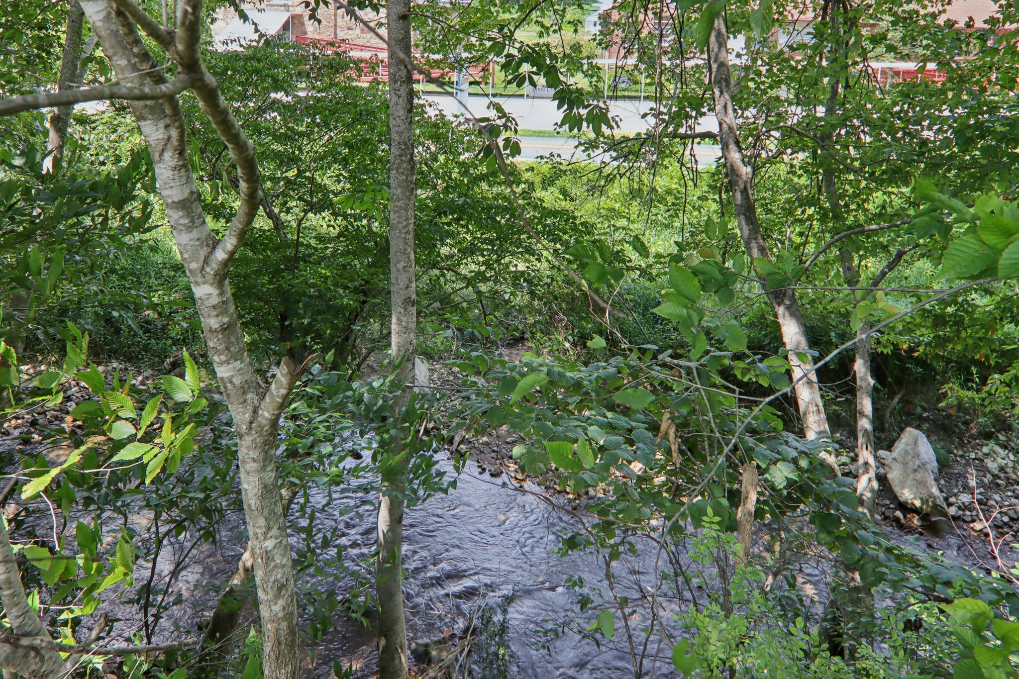 Fines Creek Rd-S1507-048.jpg
