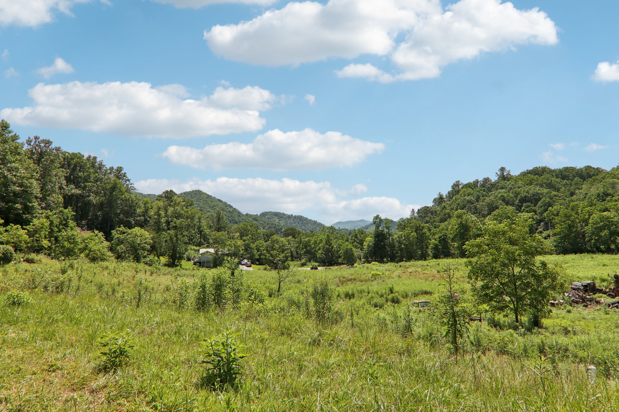 Fines Creek Rd-S1507-053.jpg