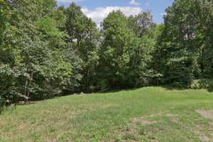 Fines Creek Rd-S1507-049.jpg