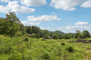 Fines Creek Rd-S1507-052.jpg