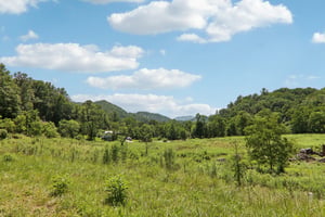 Fines Creek Rd-S1507-053.jpg