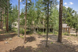  Photo 49