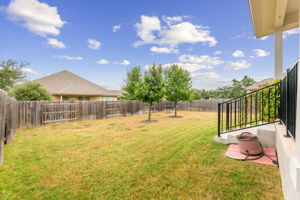 Backyard, Privacy Fence and Trees