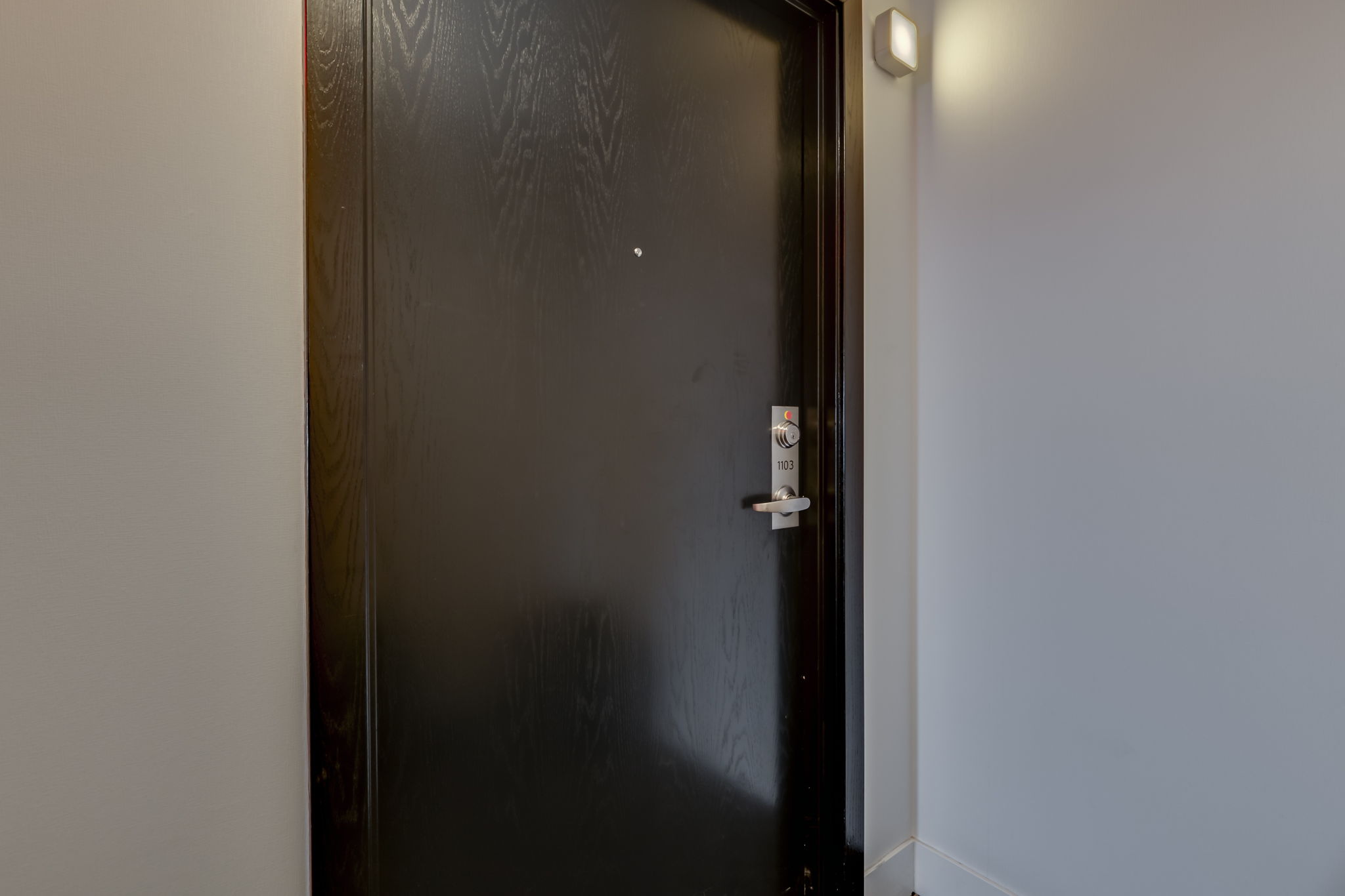 Toronto property showcase — delivered property photograph 7