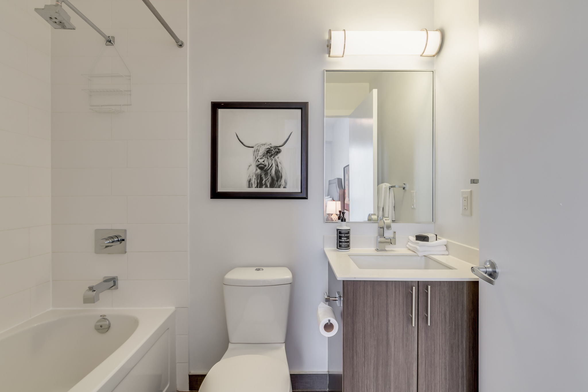 Toronto property showcase — delivered property photograph 18