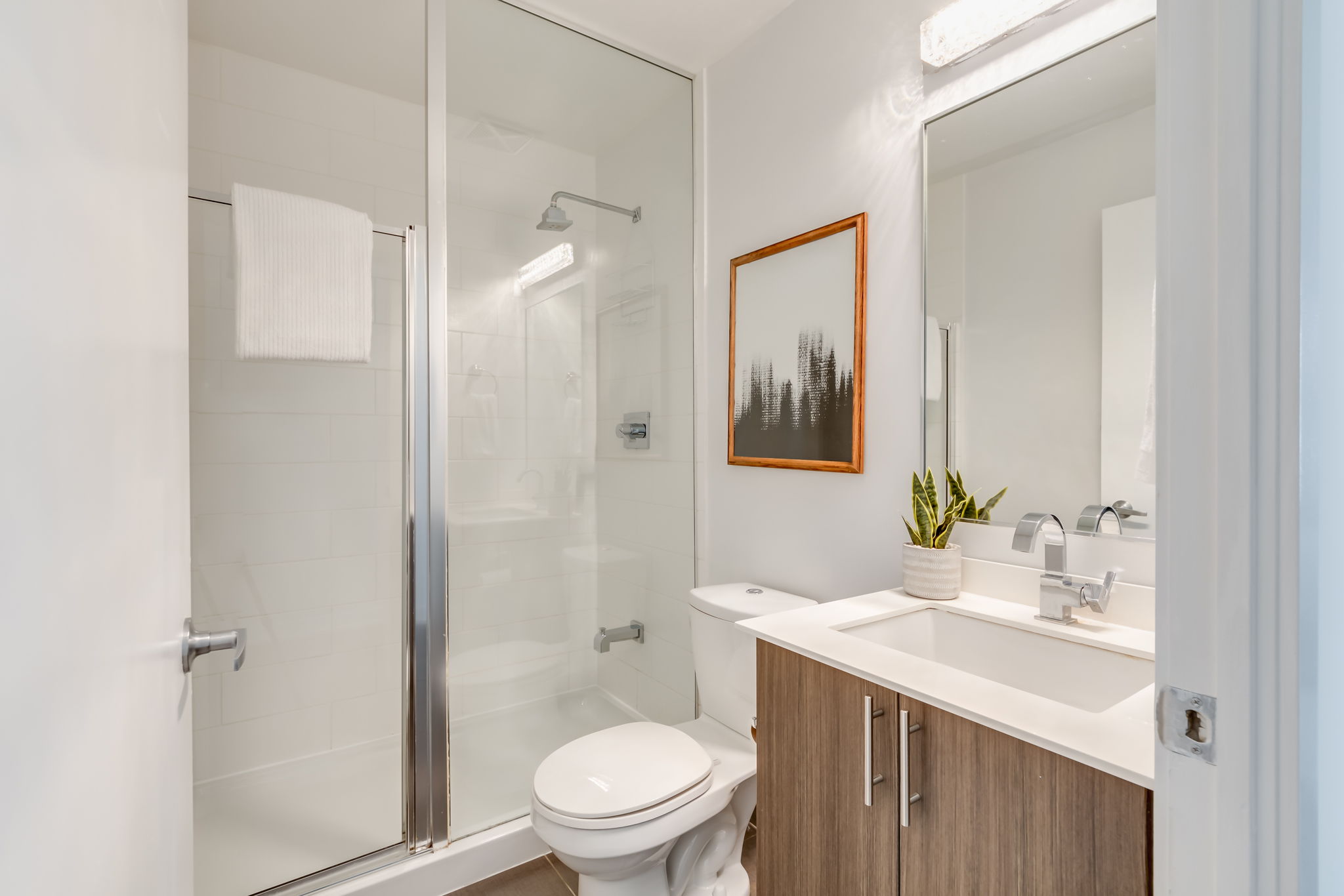 Toronto property showcase — delivered property photograph 20