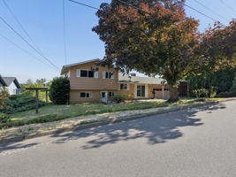  Photo 43