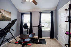  Photo 47