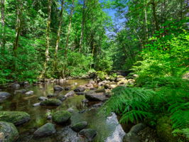  Photo 48