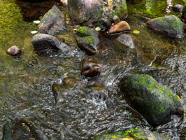  Photo 49