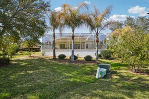 Opal Ct-S2002-052.jpg