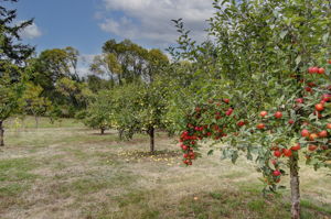  Photo 30