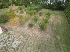  Photo 36